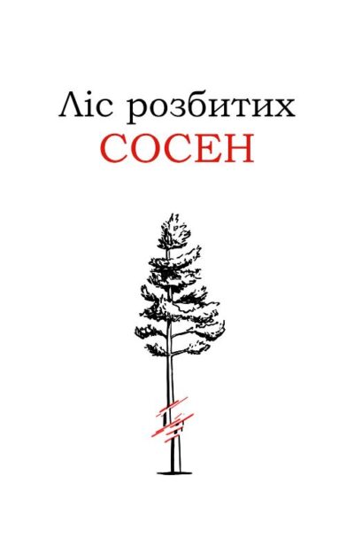 Обкладинка Хлопець із нізвідки