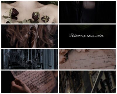 Чорна троянда значить – недоля Cover