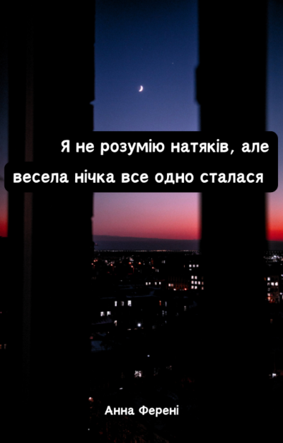 Обкладинка Я не розумію натяків, але весела нічка все одно сталася