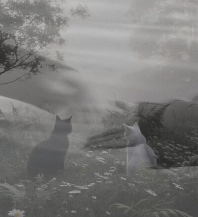 Обкладинка Річниця в тиші