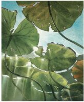 Розділ 12: Вихідний з присмаком водоростей. Cover