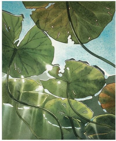 Розділ 12: Вихідний з присмаком водоростей. Cover