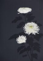 Розділ 17: Джинкох та хризантеми. Cover