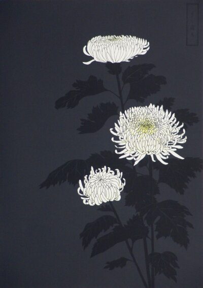 Розділ 17: Джинкох та хризантеми. Cover