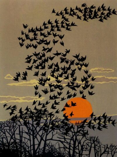 Розділ 27: Флешбек 3: Усюдисуще пір’я. Cover